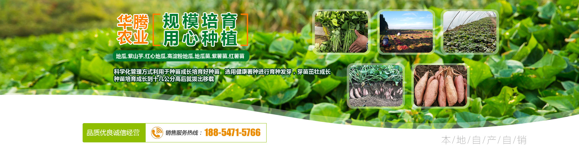 濟寧華騰農業